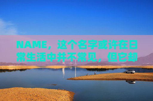 NAME，这个名字或许在日常生活中并不常见，但它却在某些领域里扮演着重要的角色。今天，让我们一起来探索这个名字背后的故事和意义